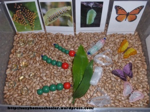 10 Butterfly Themed Sensory Bins from Suzy Homeschooler (5)