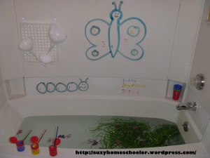 Butterfly Theme Bath from Suzy Homeschooler (1)